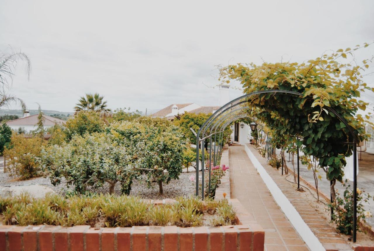 הוילה Quinta De Sao Pedro De טומאר מראה חיצוני תמונה