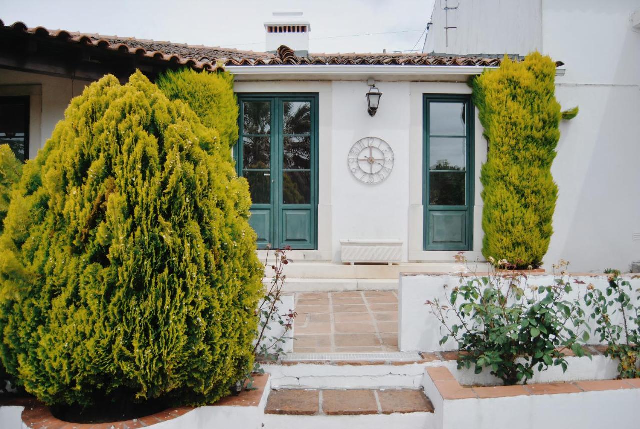הוילה Quinta De Sao Pedro De טומאר מראה חיצוני תמונה