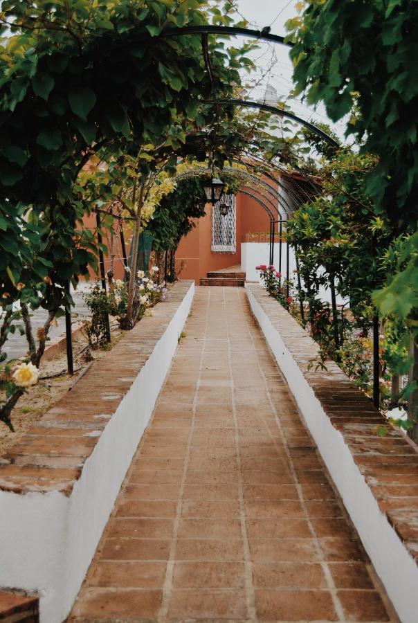 הוילה Quinta De Sao Pedro De טומאר מראה חיצוני תמונה