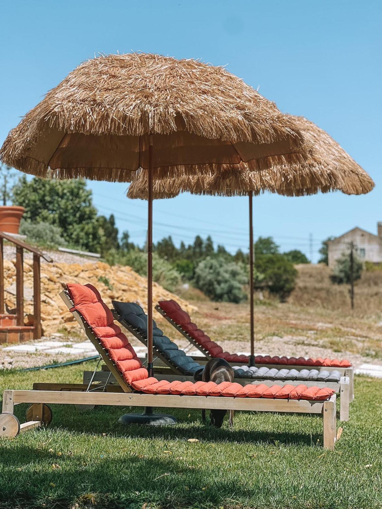 הוילה Quinta De Sao Pedro De טומאר מראה חיצוני תמונה