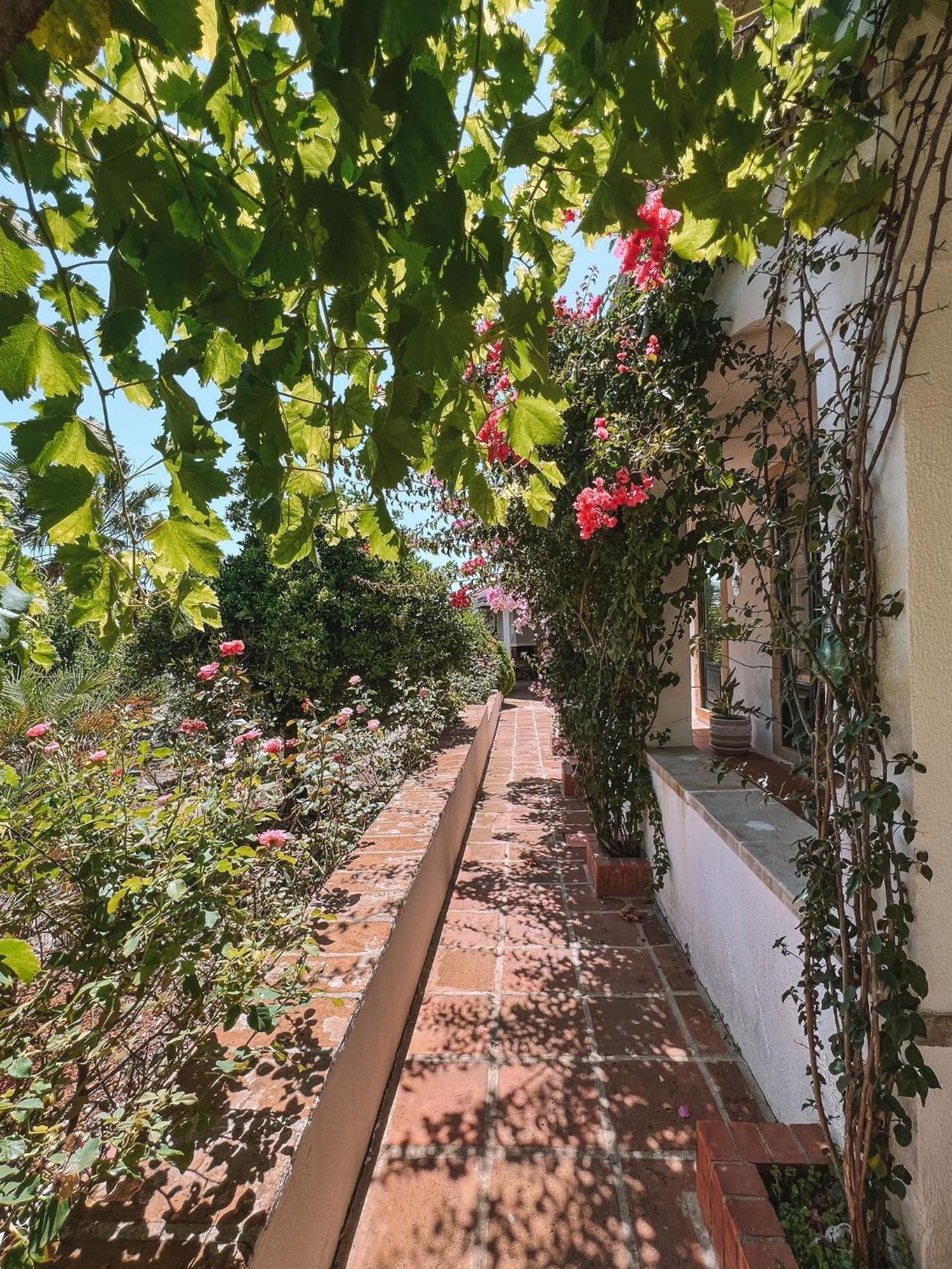 הוילה Quinta De Sao Pedro De טומאר מראה חיצוני תמונה