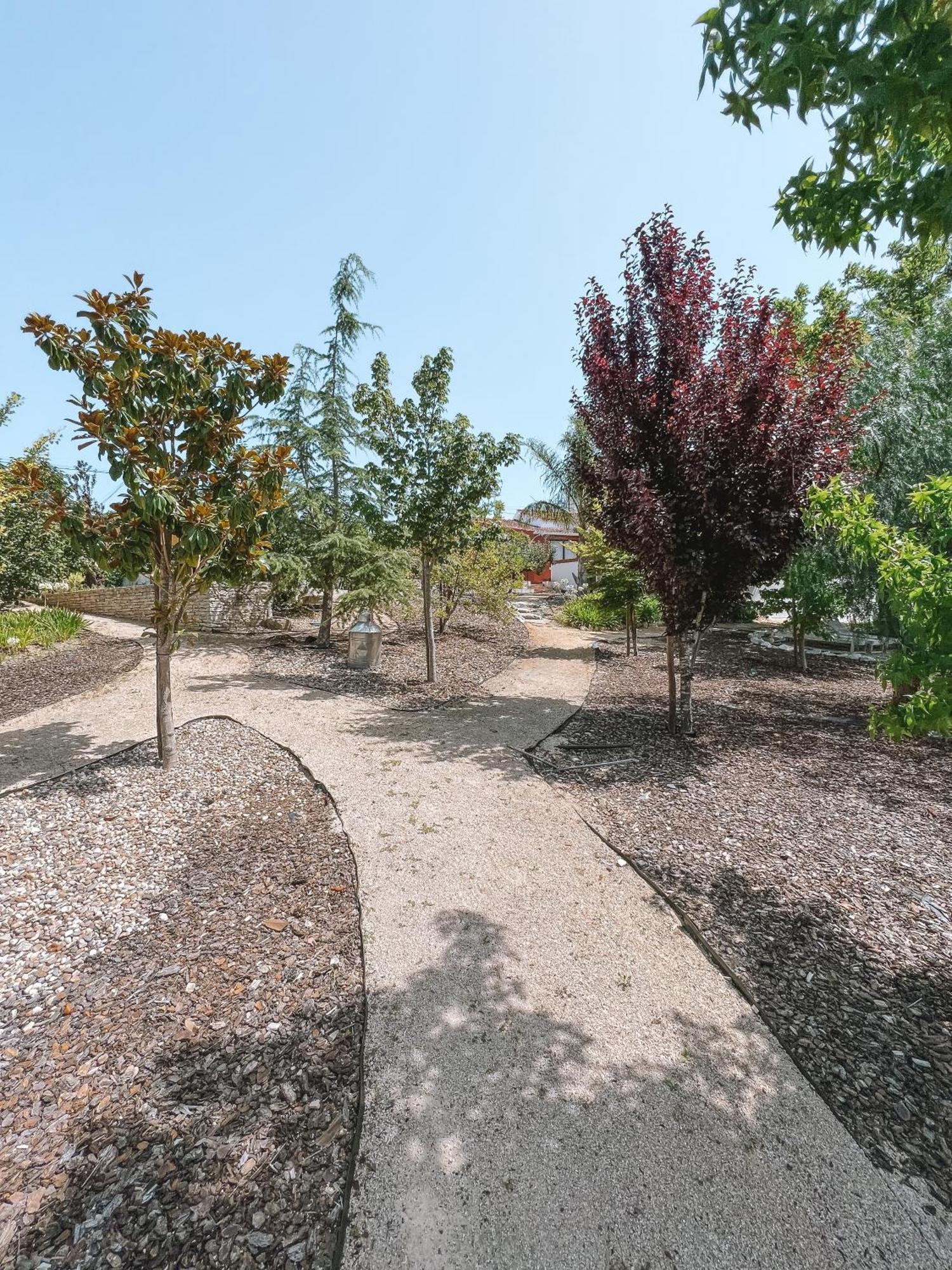 הוילה Quinta De Sao Pedro De טומאר מראה חיצוני תמונה